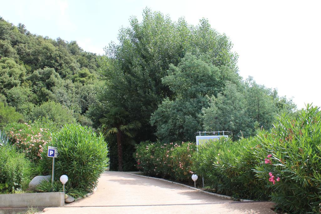 Mas Solar D'En Malcion Villa Amélie-les-Bains-Palalda Exteriör bild