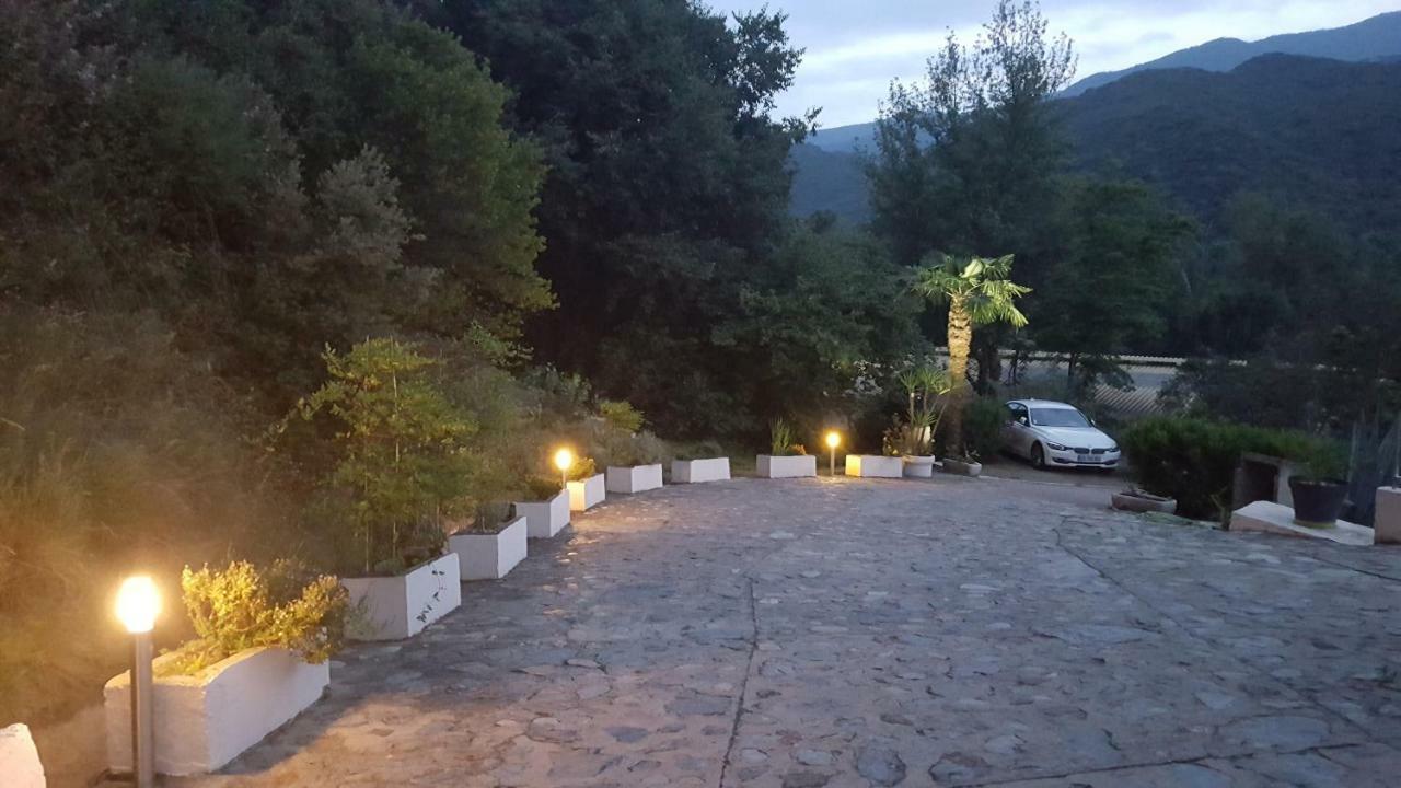 Mas Solar D'En Malcion Villa Amélie-les-Bains-Palalda Exteriör bild