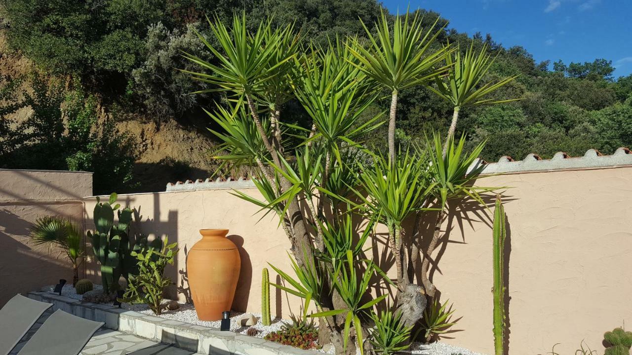 Mas Solar D'En Malcion Villa Amélie-les-Bains-Palalda Exteriör bild